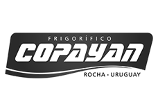 logo_16